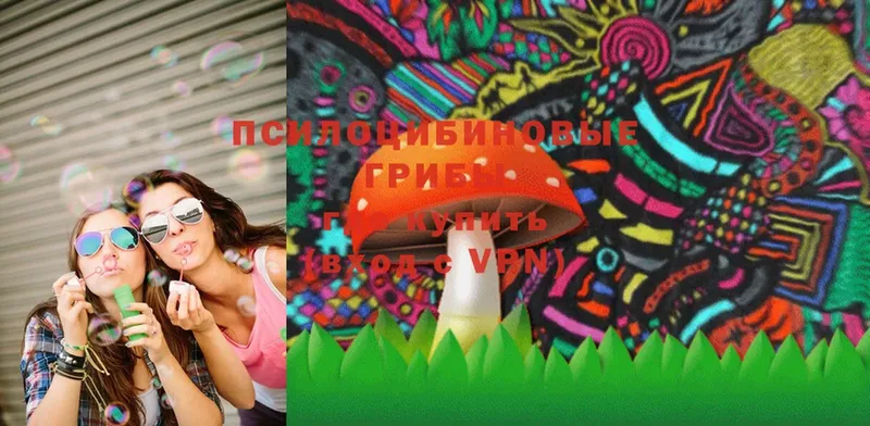 купить  цена  Алушта  Псилоцибиновые грибы MAGIC MUSHROOMS 